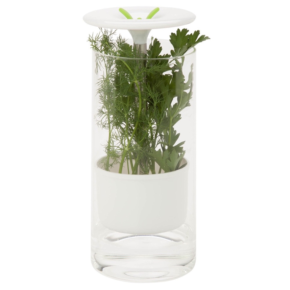 HERB KEEPER GLASS HERB PRESERVER JAR CONTAINER FRESH HERBS